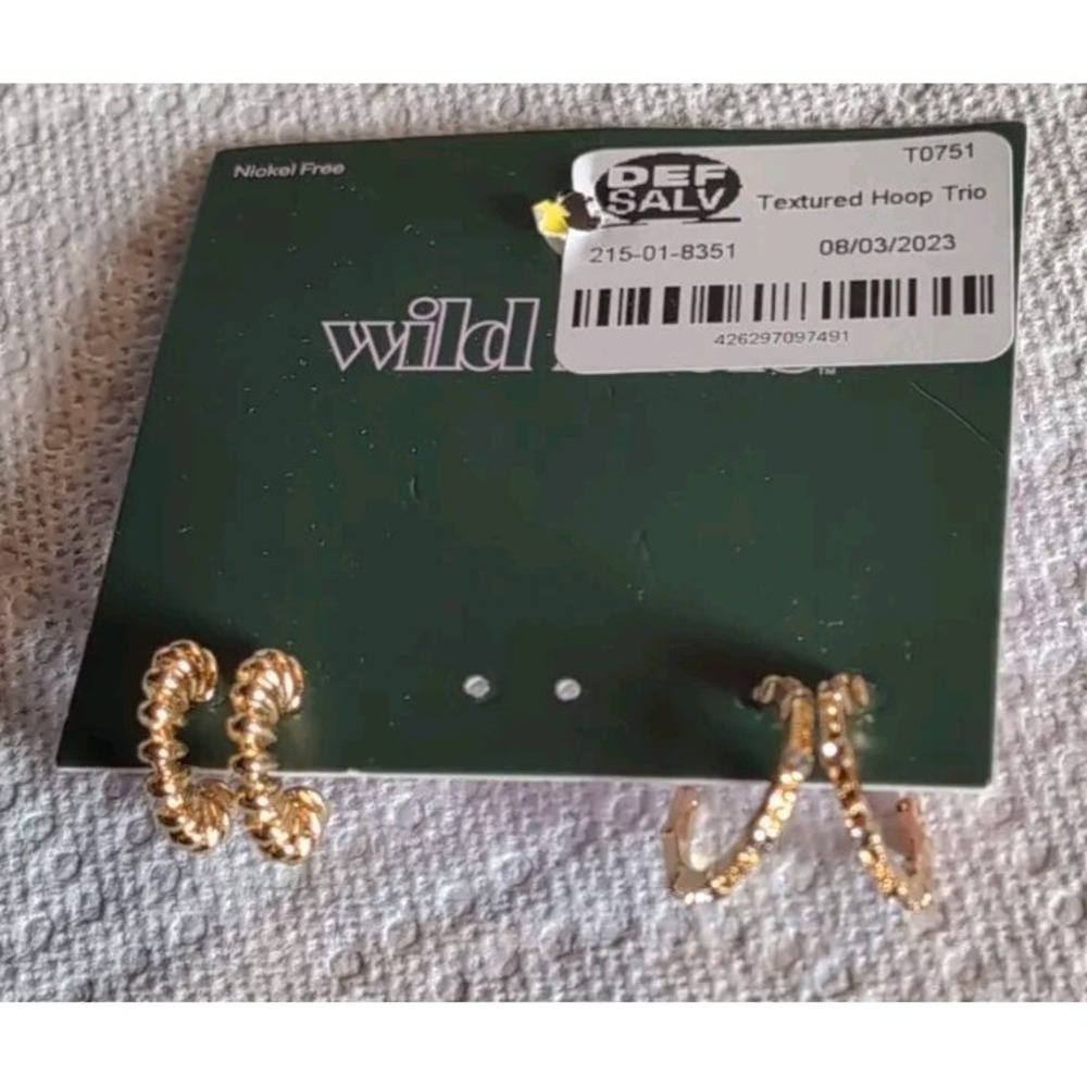 Wild fable  hoop Earrings Set Of 2 pair New Gold